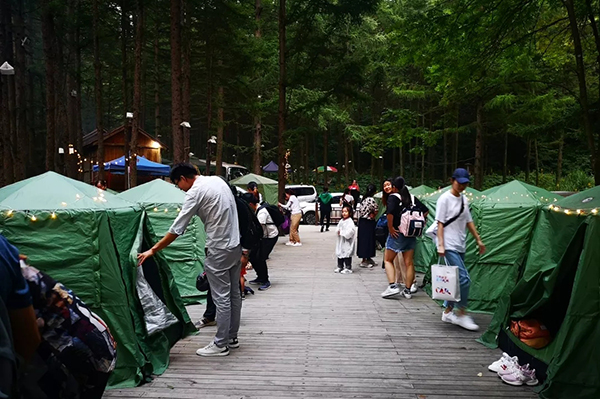 1567416211382770.jpg 2.webp.jpg