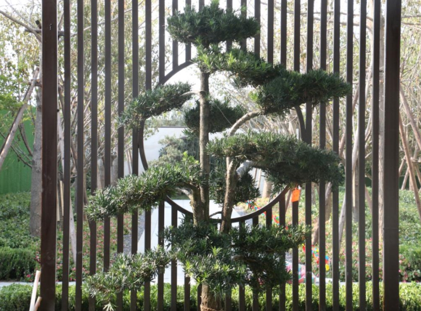 1569487743678252.jpg 4887.jpg