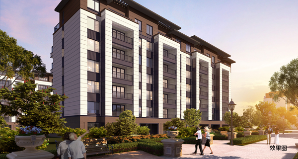 1569573385757184.jpeg 03-3.jpeg