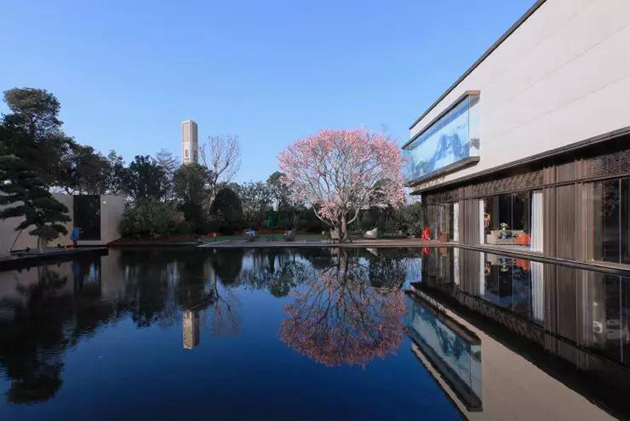 1571125096311473.jpg 金輝·優(yōu)步大道實(shí)景圖