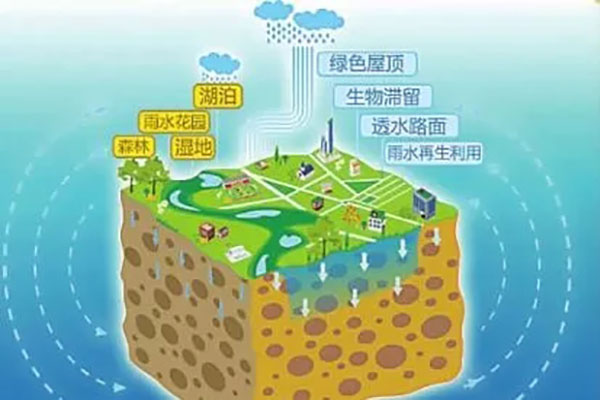 1572487041760230.jpg 3.webp (1).jpg