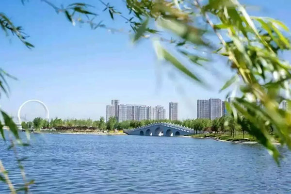 1572487113415532.jpg 6.webp.jpg