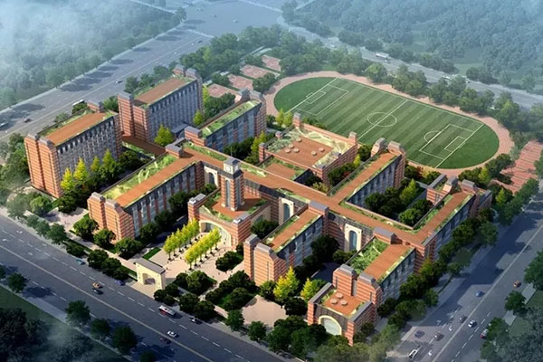 1572487342399934.jpg 13.webp.jpg