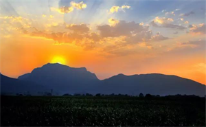 1585302999194069.png 圖片2.png