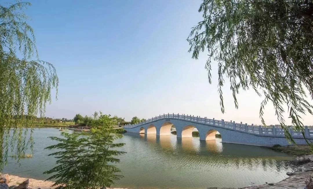 1593311387747611.jpg 濱河國際新城實景圖